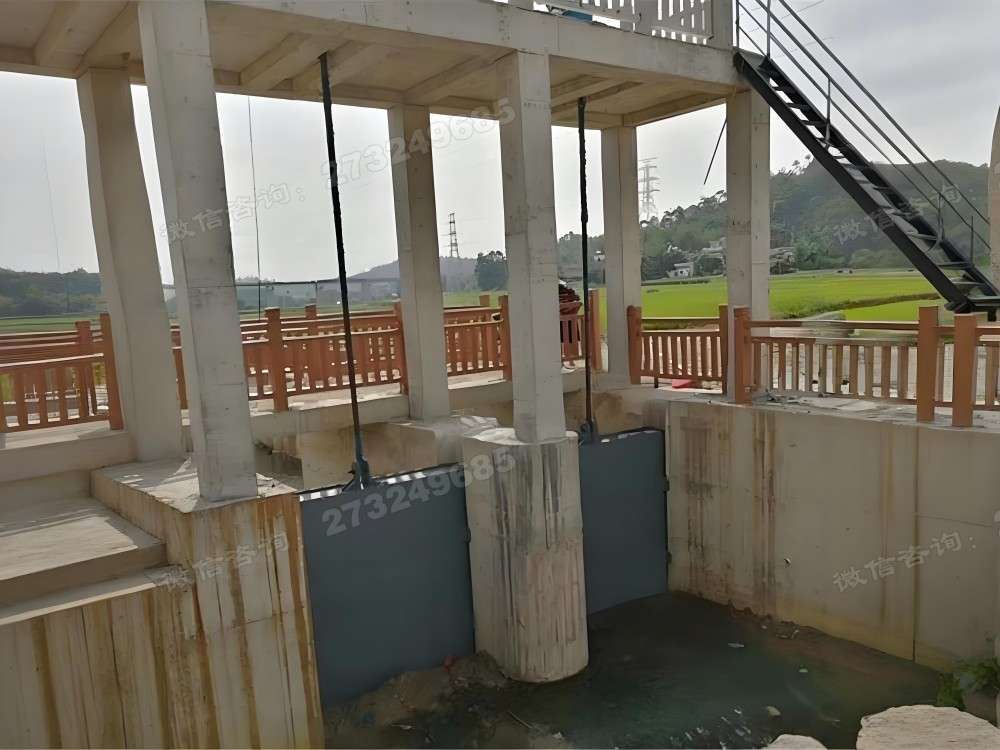 丰县农田渠道泵站闸门
