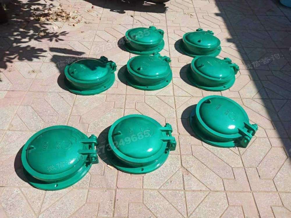 东营多规格小型玻璃钢拍门