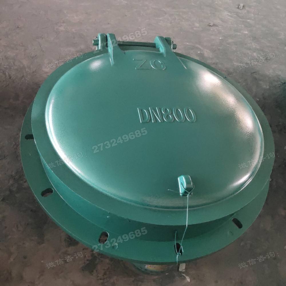 确山县DN800绿色玻璃钢拍门