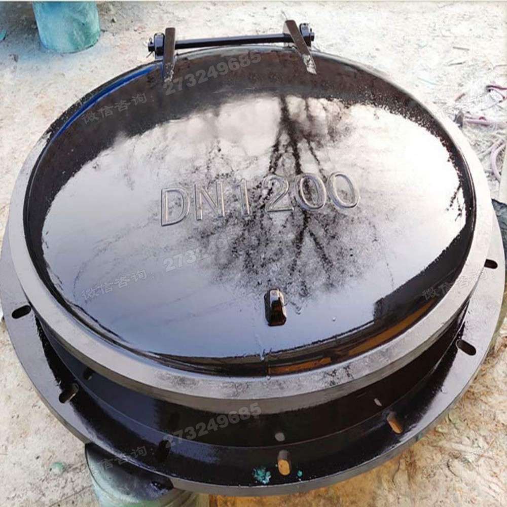 长寿黑色DN1200玻璃钢拍门