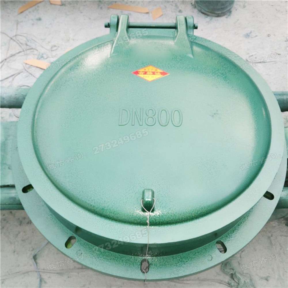 武功县DN800玻璃钢拍门