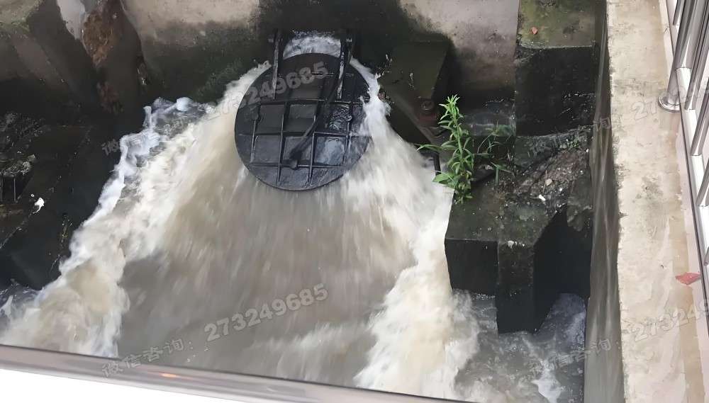 双鸭山工业排水拍门