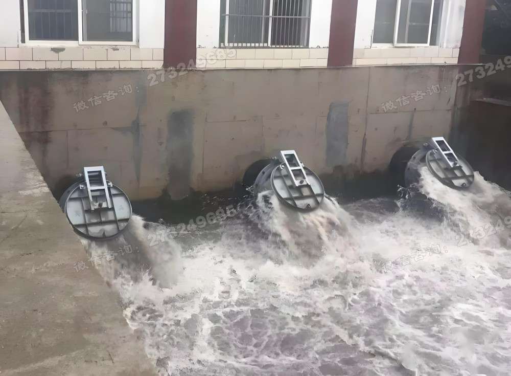 浏阳三联排水拍门