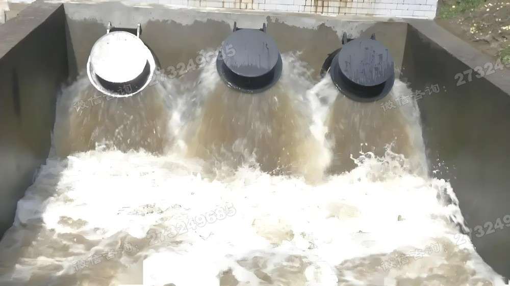 泵站排水拍门
