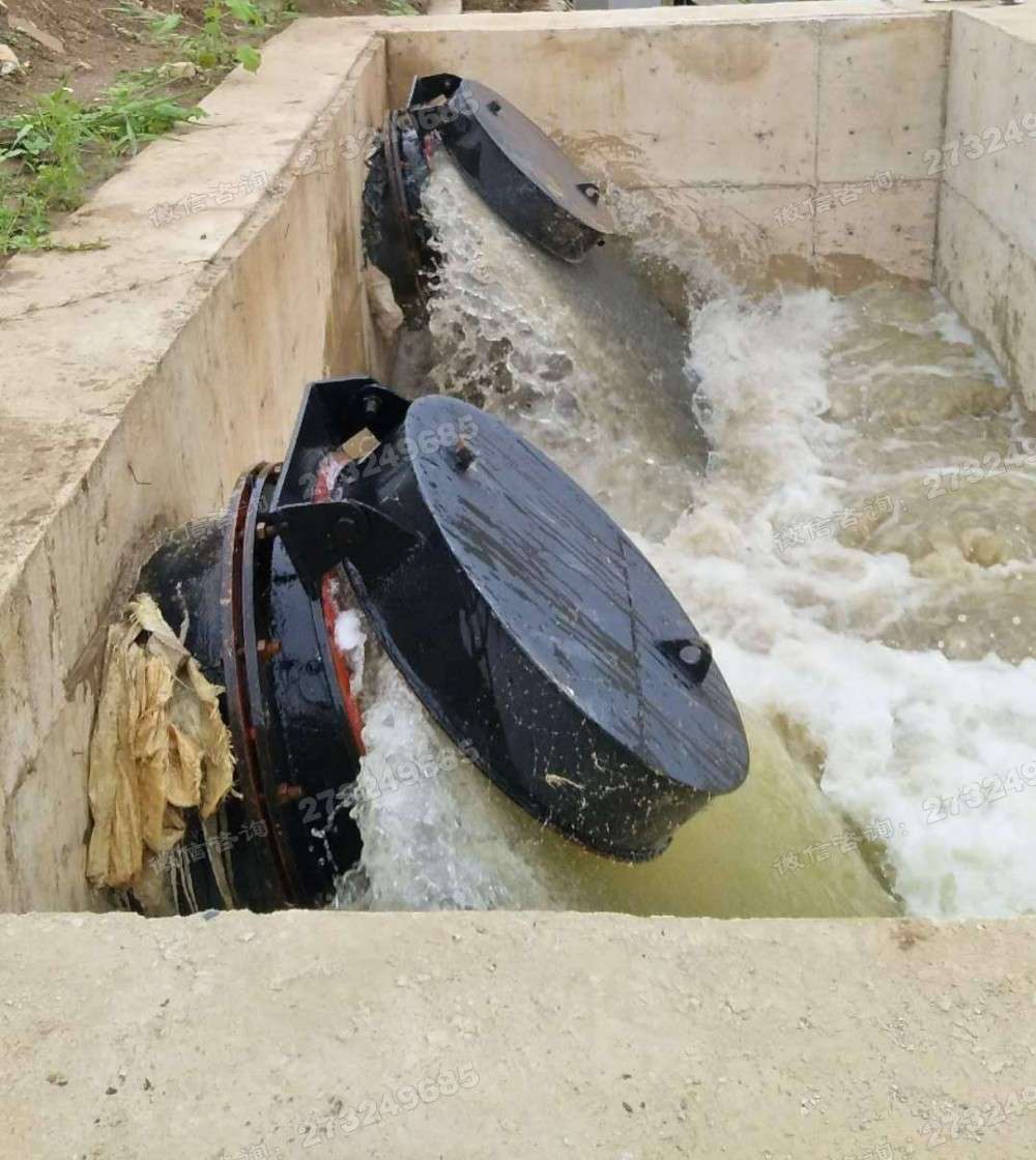 顺德河道排水拍门