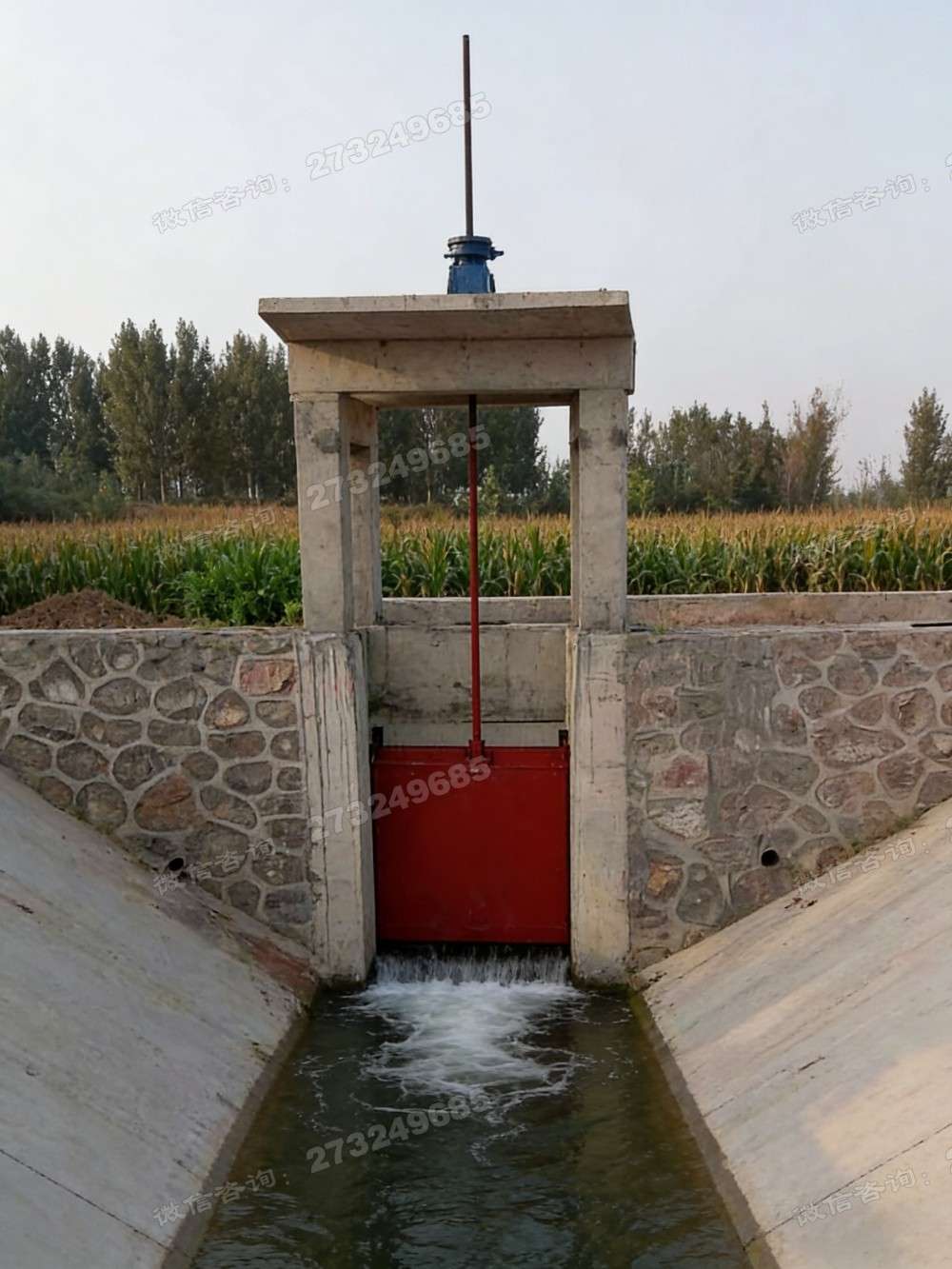 丰县玉米地铸铁闸门