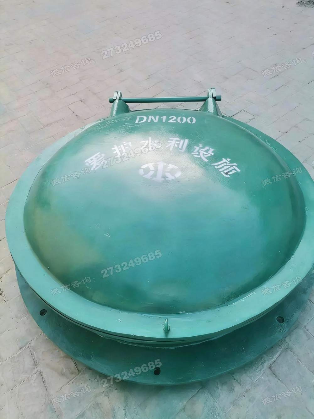 丰县DN1200铸铁拍门
