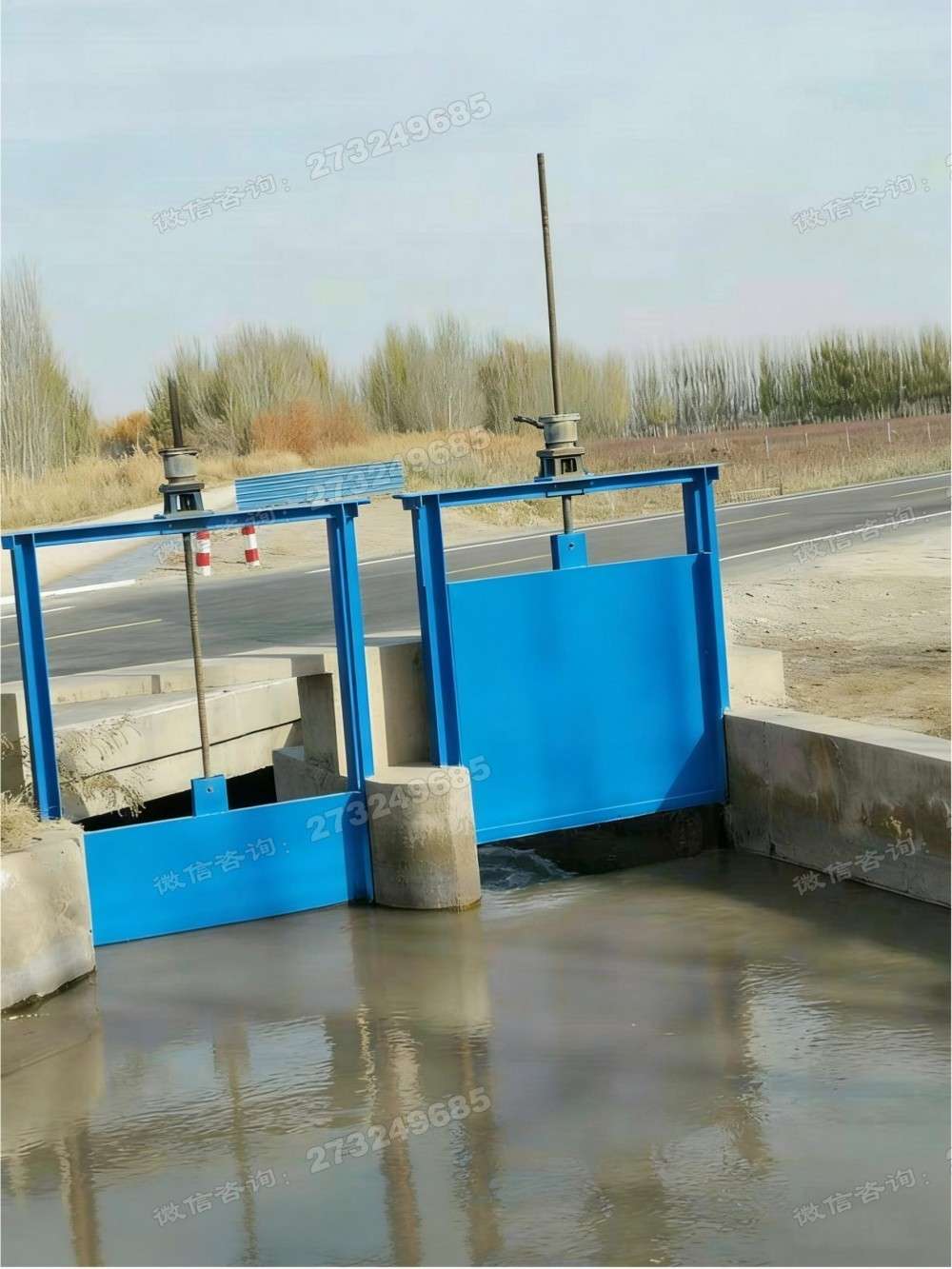 渝水路边双门钢制闸门