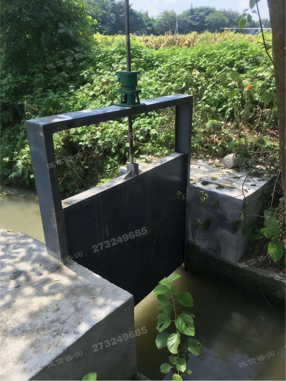 黑龙江菜园灌溉钢制闸门