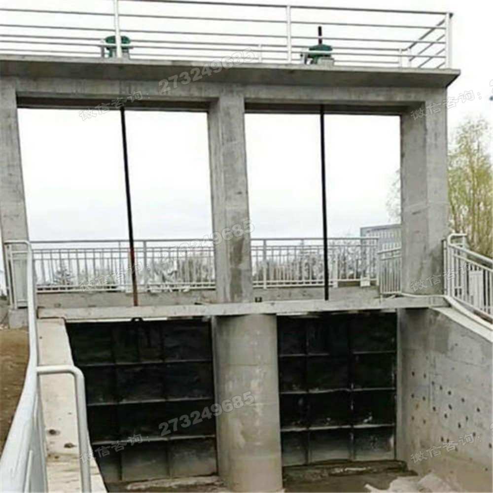 泵站双孔铸铁闸门